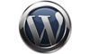 NIYATI SOFTECH experts in Word Press
